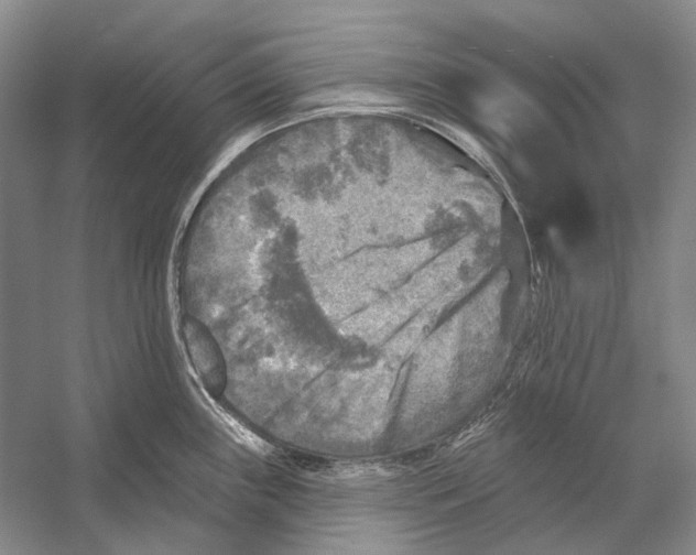 X0000053121243200508081243