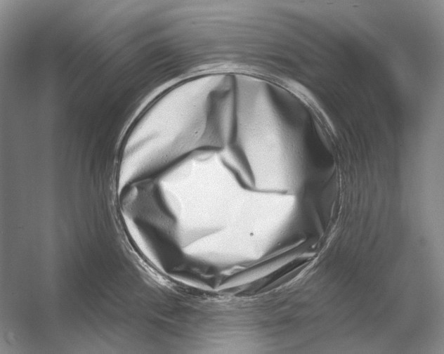 X0000053121244200508081243