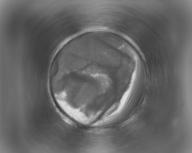 X0000053121245200508081243