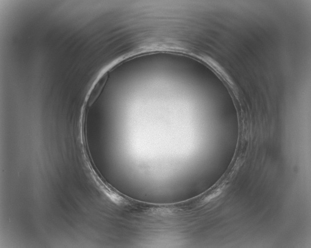 X0000053121246200508081243