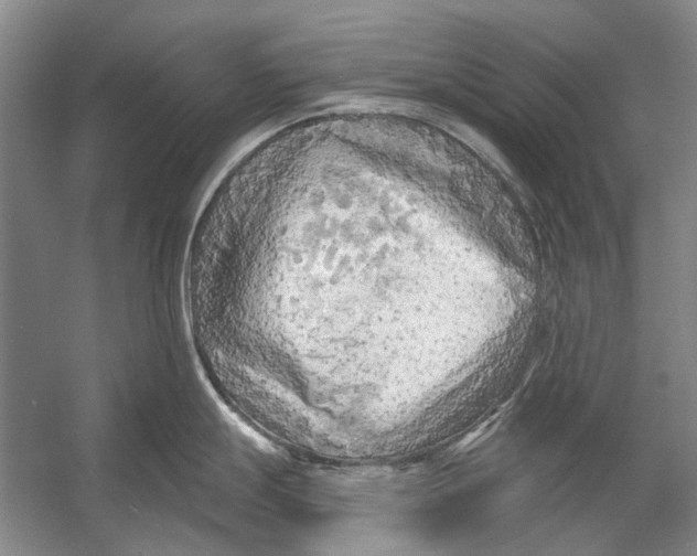 X0000053121247200508081243