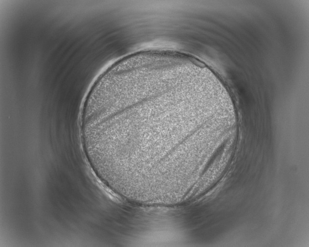 X0000053121248200508081243