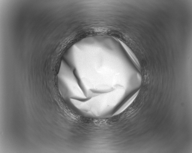 X0000053121249200508081242