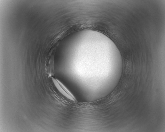 X0000053121250200508081242