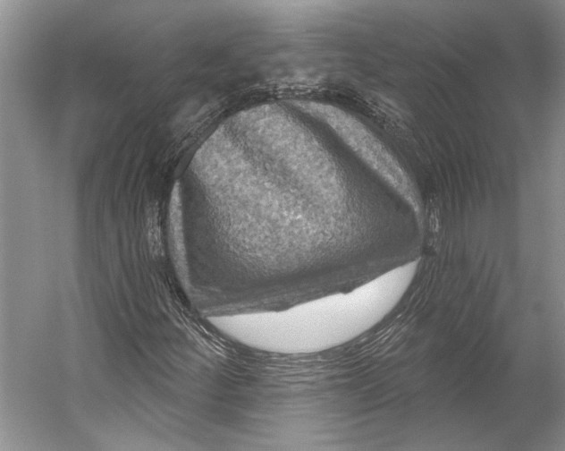 X0000053121252200508081242