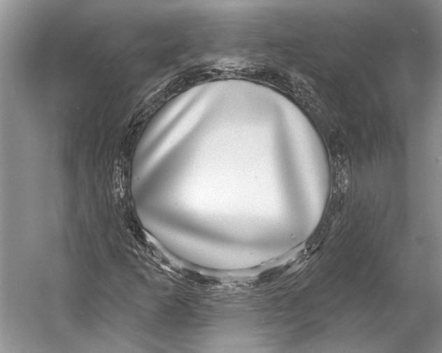 X0000053121253200508081242