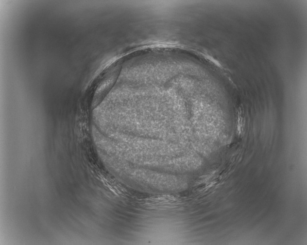 X0000053121255200508081242