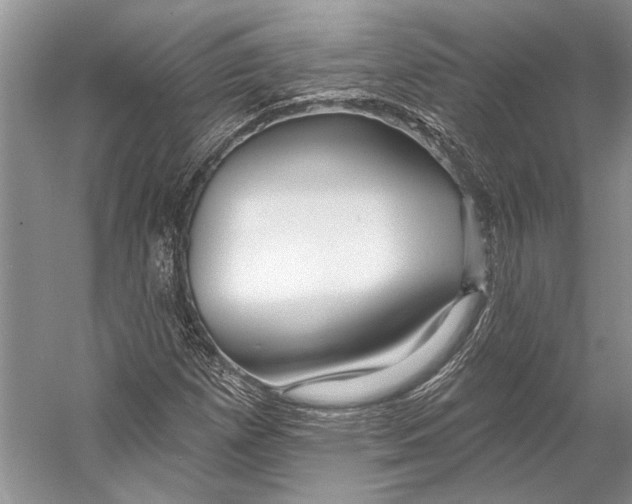 X0000053121257200508081242