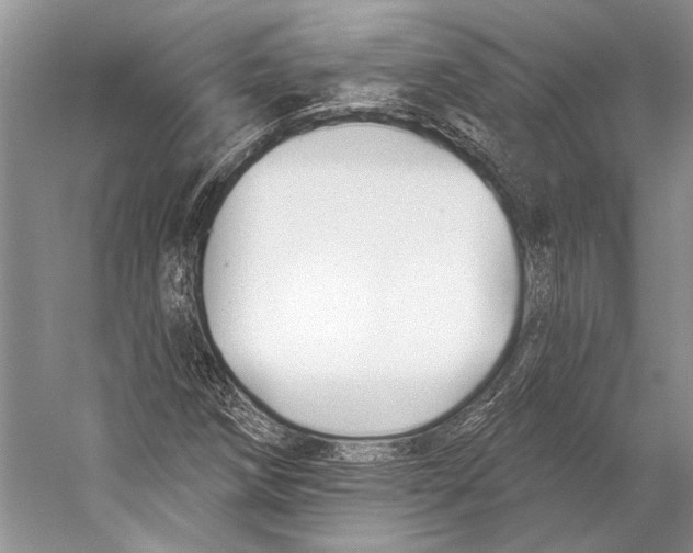 X0000053121258200508081242