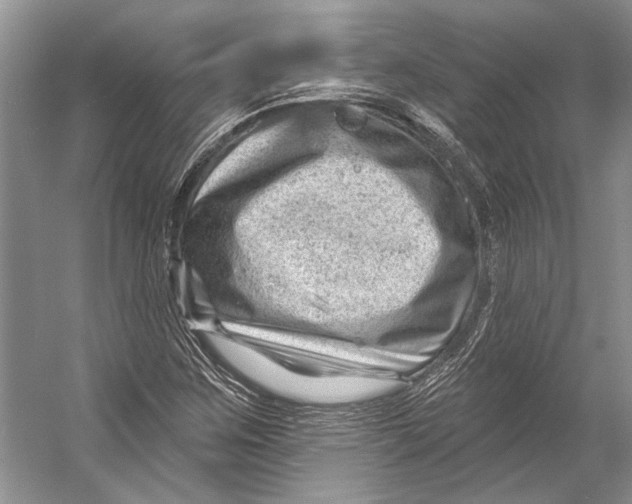 X0000053121259200508081242