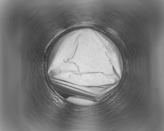 X0000053121260200508081242