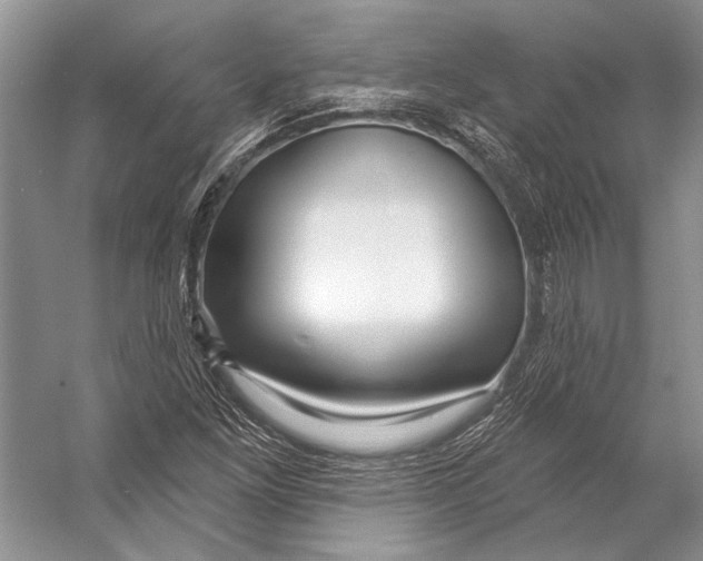 X0000053121261200508081242