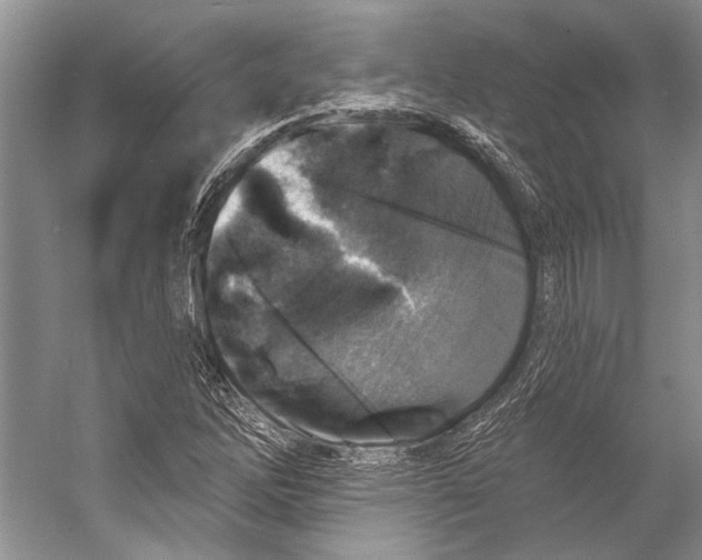 X0000053121262200508081242