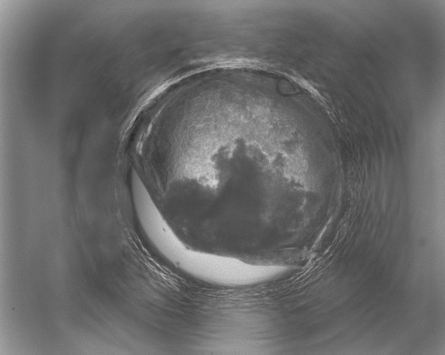 X0000053121263200508081242