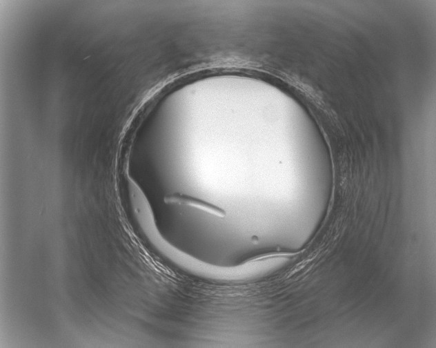 X0000053121264200508081242