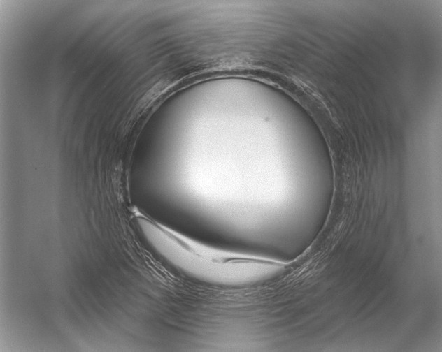 X0000053121265200508081242