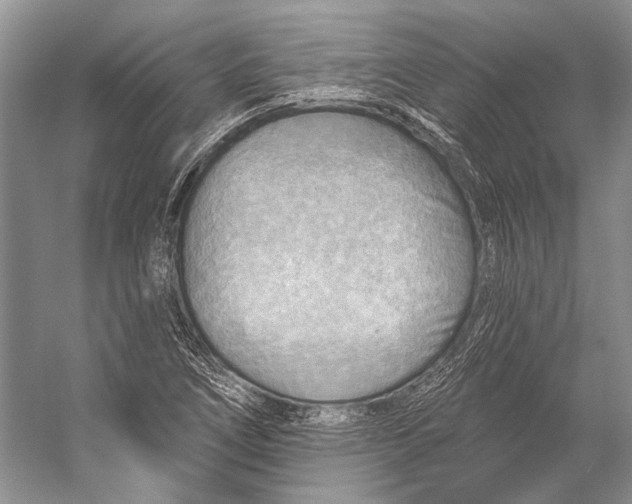 X0000053121266200508081242