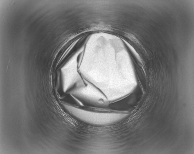 X0000053121268200508081242