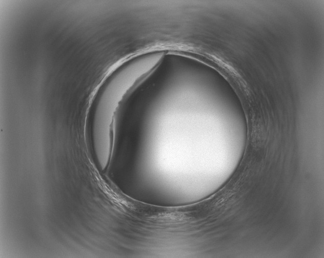 X0000053121272200508081242