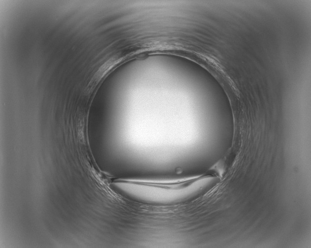 X0000053121273200508081242