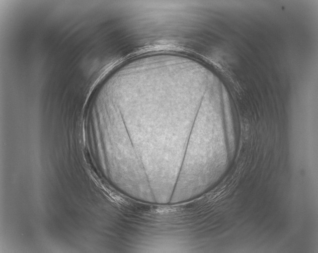 X0000053121274200508081242