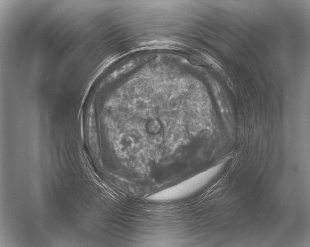 X0000053121275200508081242