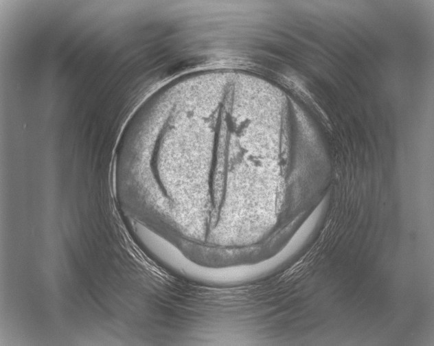 X0000053121276200508081242