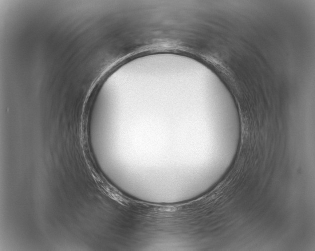 X0000053121278200508081242