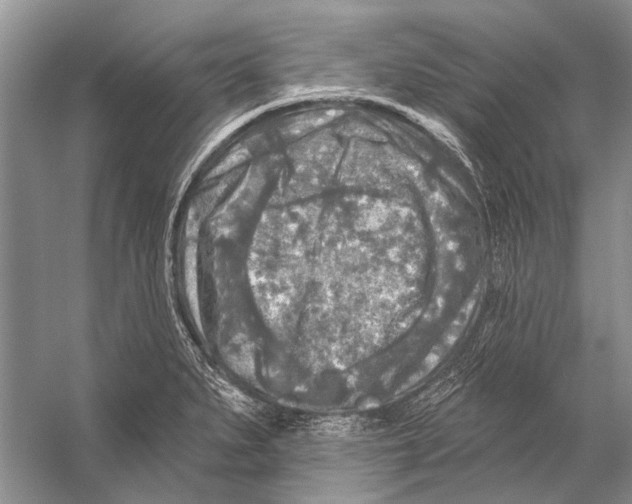 X0000053121279200508081242