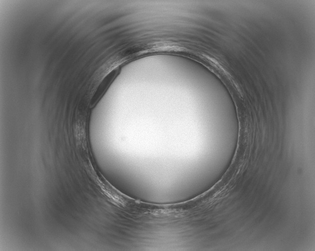 X0000053121281200508081242