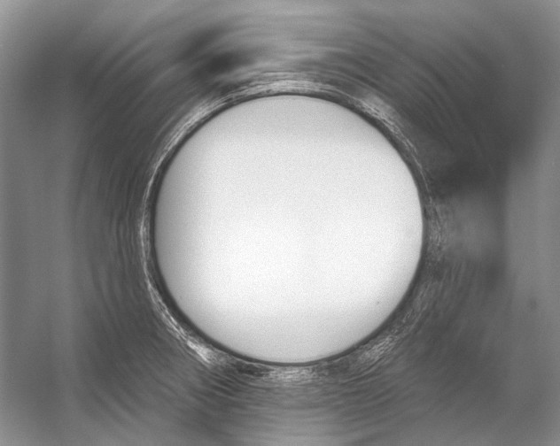 X0000053121282200508081242