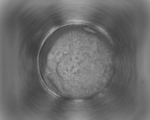 X0000053121283200508081242