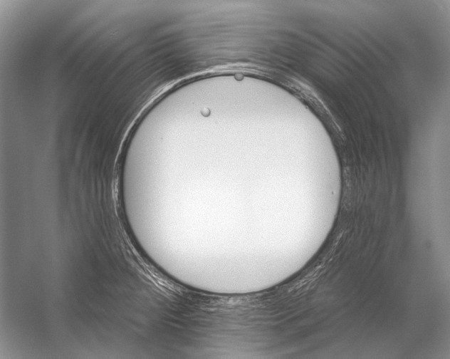 X0000053121284200508081242