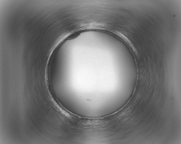 X0000053121285200508081242