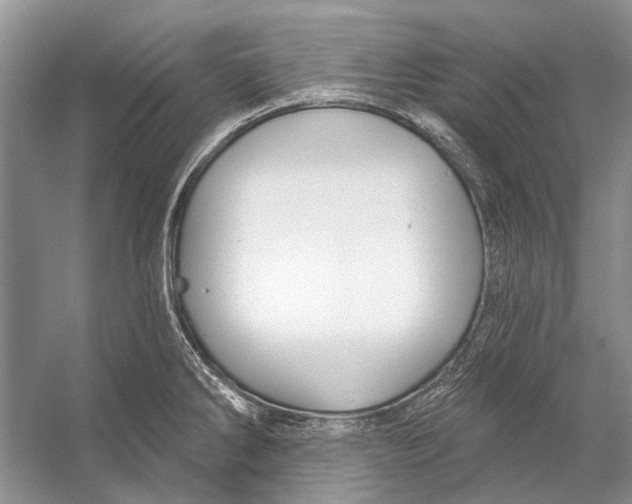 X0000053121286200508081242