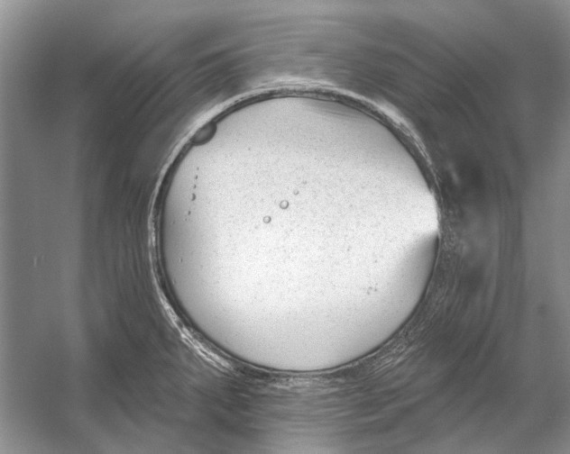 X0000053121287200508081242