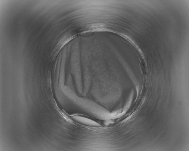 X0000053121289200508081242