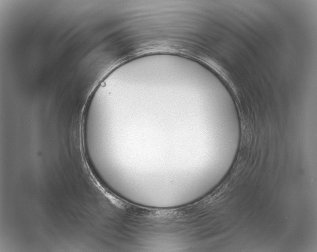 X0000053121290200508081242