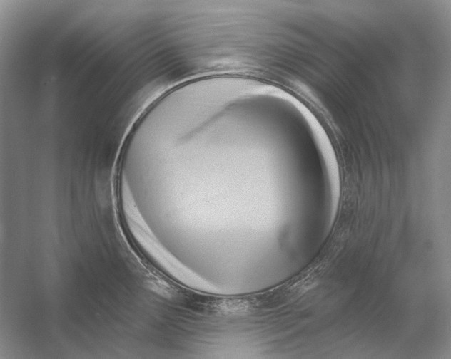 X0000053121291200508081242