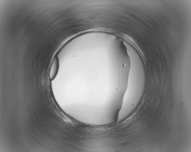 X0000053121292200508081242