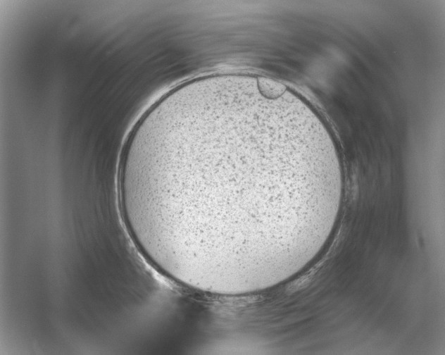 X0000053121294200508081242