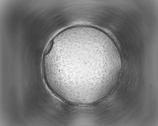 X0000053121295200508081242