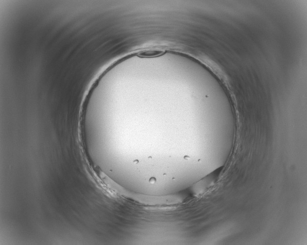 X0000053121296200508081242