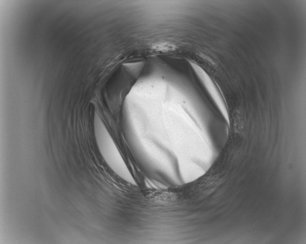 X0000053121298200508081241