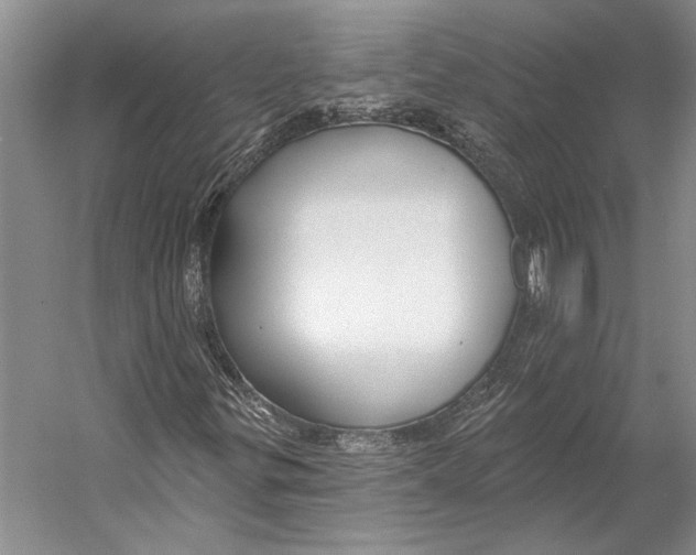 X0000053121299200508081241