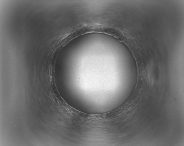 X0000053121301200508081241