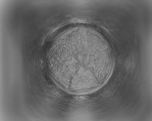 X0000053121303200508081241