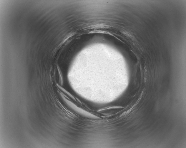 X0000053121305200508081241