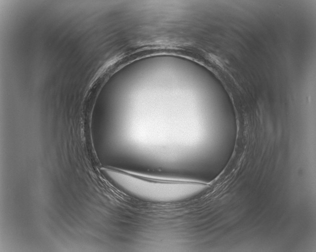 X0000053121307200508081241