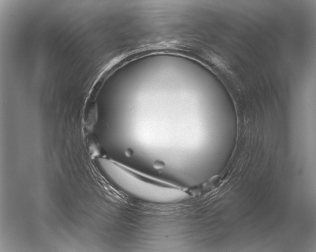 X0000053121308200508081241